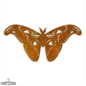 Zawieszalnia – decorațiune de perete 3D Fluture Atlas Moth L 50 cm oțel Corten