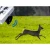 Dispozitiv de respingere a vânatului sălbatic: mistre?i, vulpi, căprioare VIANO (OZ1) PV-400-46 (8)